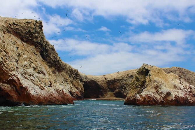 2-Hour Tour to the Ballestas Islands from Puerto San Martín - Who this tour fits best (and who should think twice)