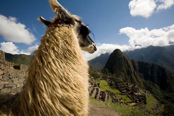7 Day Peru Private Journey - Day 5 Moray, Maras Salt Mines, and Ollantaytambo Train Timing