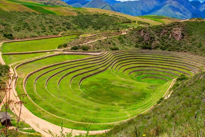 7 Days: Lima, Ica, Cusco & Machupicchu with local flights - Wrapping up in Puno and flying out of Juliaca
