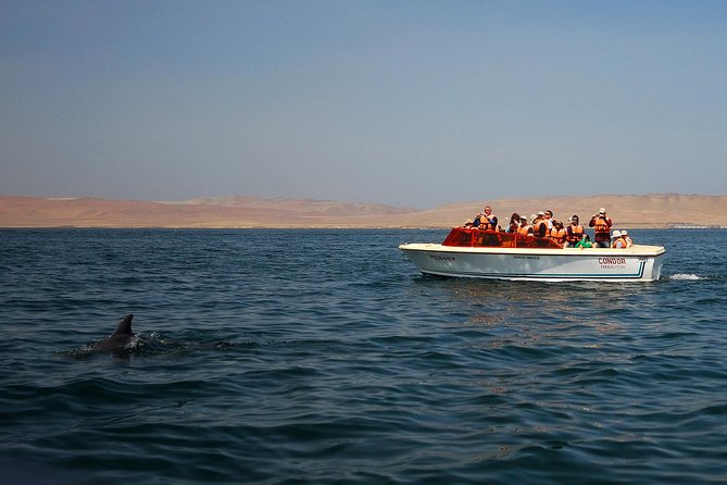 8-Day Enigmas of Peru - Day 2: Nazca Lines from the Sky, Then a Paracas Breather