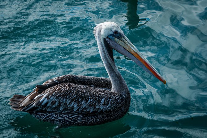 Ballestas island & Paracas reserve from PISCO CRUISESHIP TERMINAL - Paracas National Reserve on land: fossils, viewpoints, and red beaches