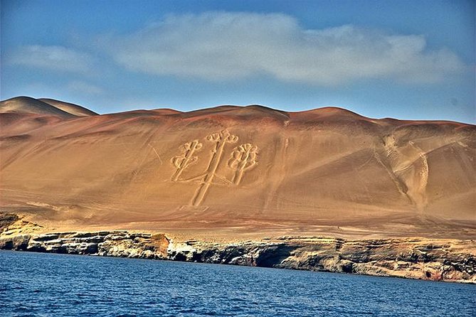 Ballestas island & Paracas reserve from PISCO CRUISESHIP TERMINAL - Islas Ballestas by modern speedboat: what the 2-hour cruise actually feels like