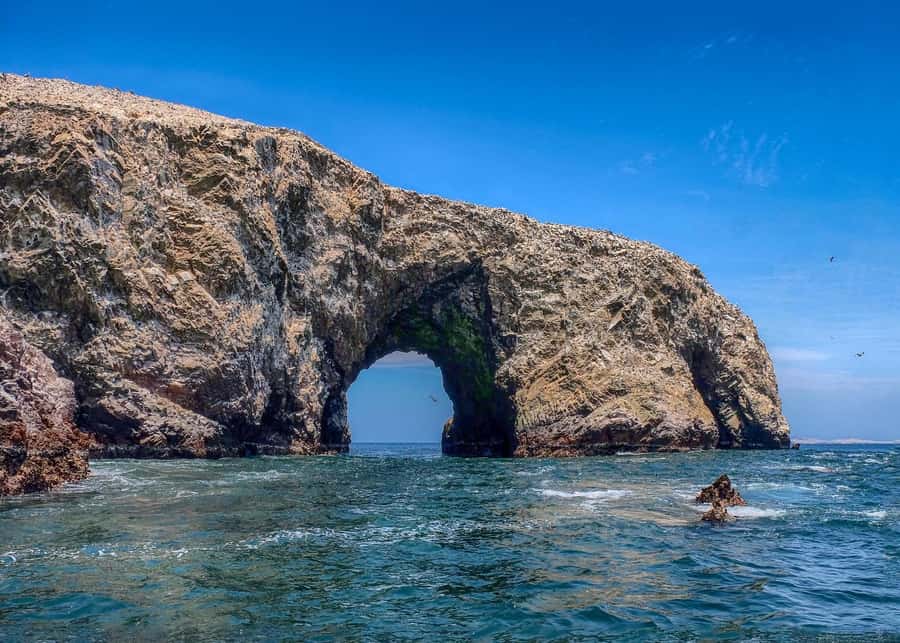 Ballestas Islands and Huacachina Oasis Half-Day Tour - Who this tour fits best (and who should skip it)