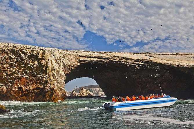 Ballestas Islands from San Martin Port CRUISESHIP TERMINAL - From Terminal Portuario General San Martín to Paracas Town: the half-hour that matters
