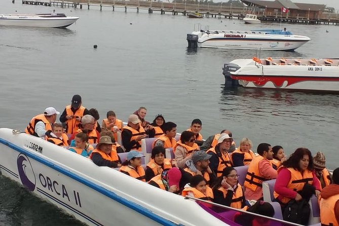 Ballestas Islands Group Tour from Paracas - Meeting point and pickup: how to avoid wasting morning time