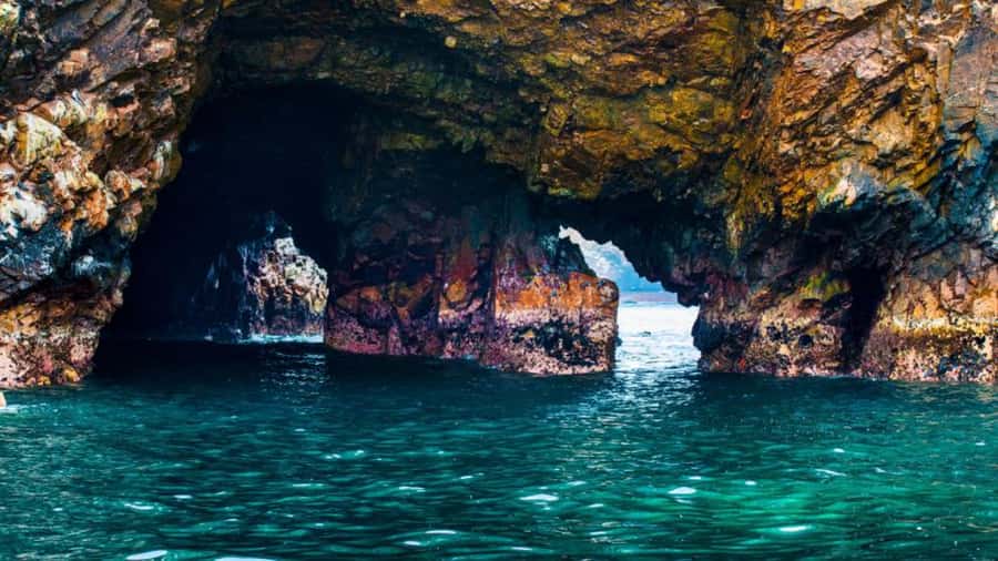 Ballestas Islands & Paracas National Reserve from Paracas - El Chaco Boulevard: your one-hour reset in Paracas