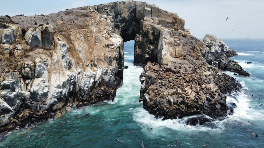 Callao: Swimming with Sea Lions Palomino Islands Boat Tour - The Boat Ride Through Callao Waters and the El Camotal Route