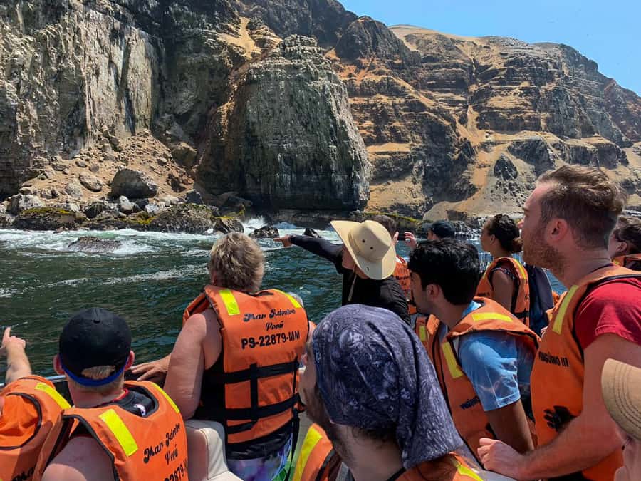 Callao: Swimming with Sea Lions Palomino Islands Boat Tour - Bird Spotting Beyond the Sea Lions: Humboldt Penguins and More