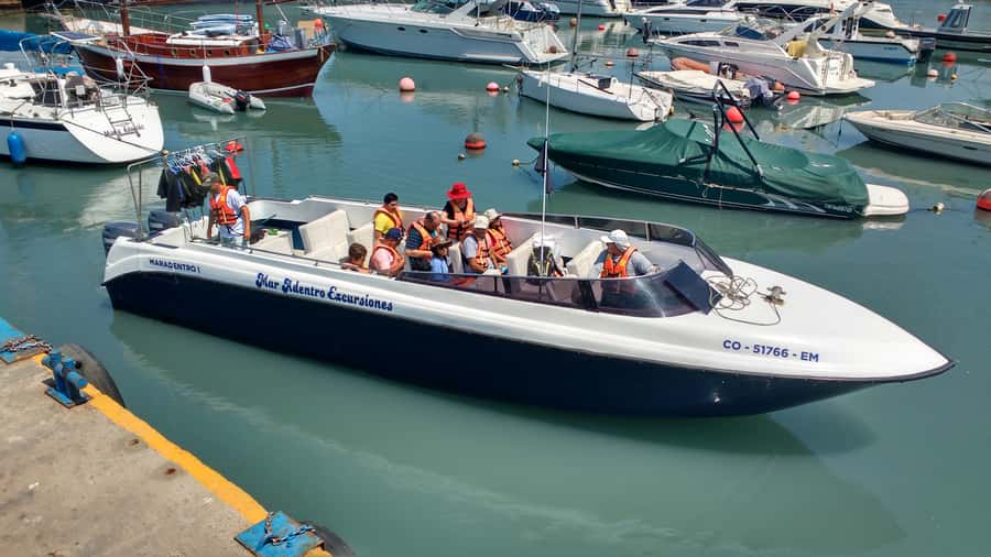 Callao: Swimming with Sea Lions Palomino Islands Boat Tour - What’s Included for $76 (and Where You Might Pay Extra)