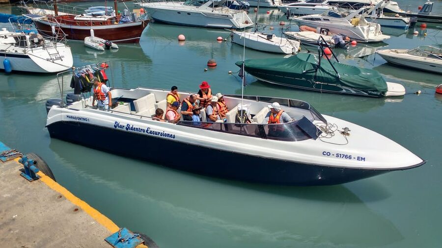 Callao: Swimming with Sea Lions Palomino Islands Boat Tour - Meeting Point and the Miraflores to Callao Question