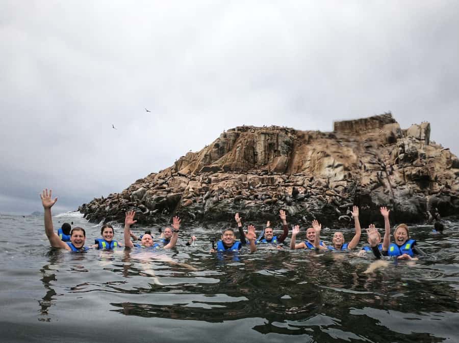 Callao: Swimming with Sea Lions Palomino Islands Boat Tour - Stop Timing That Keeps the Wildlife Window Tight