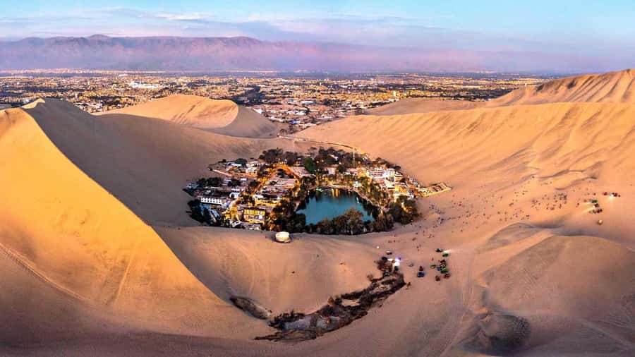Discover Paracas, Ica and Nasca in a 2 days and 1 night trip - Paracas Bay free time: make it count before the dunes