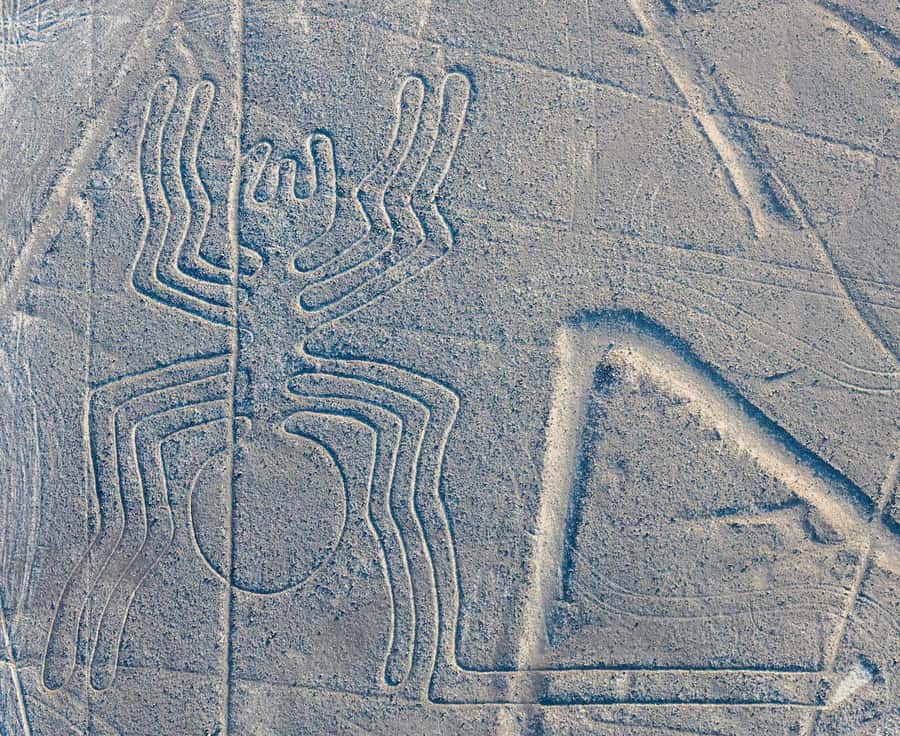Discover Paracas, Ica and Nasca in a 2 days and 1 night trip - The long return to Lima: when to expect the journey