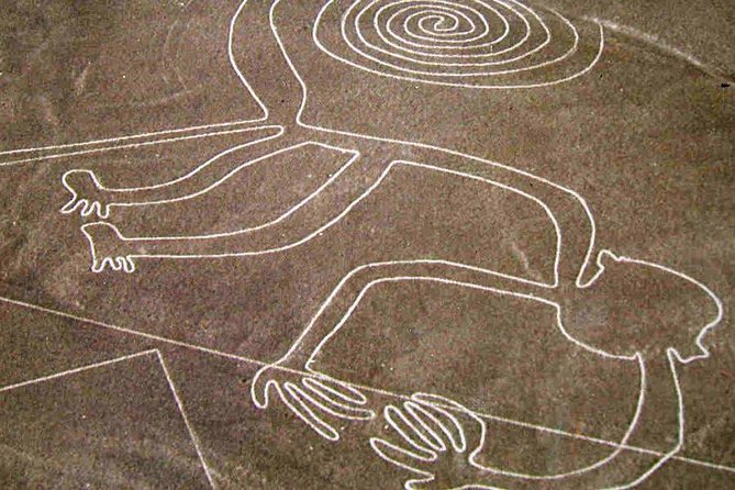 Flight Over the Nazca Lines from Pisco + Huacachina Oasis - How the day runs: guides, comfort, and small-group rhythm
