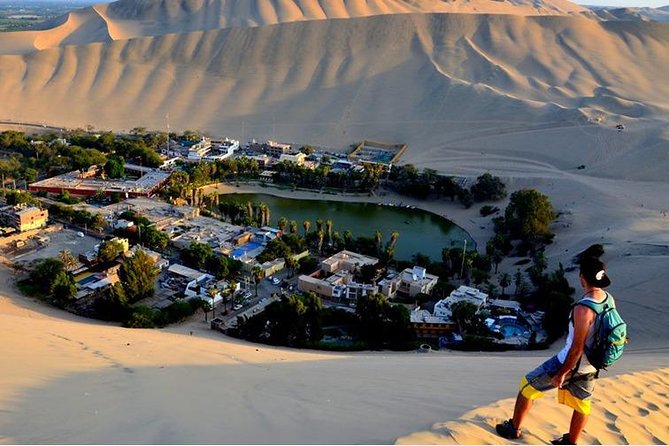 Flight Over the Nazca Lines from Pisco + Huacachina Oasis - Who this Nazca and Huacachina combo fits best