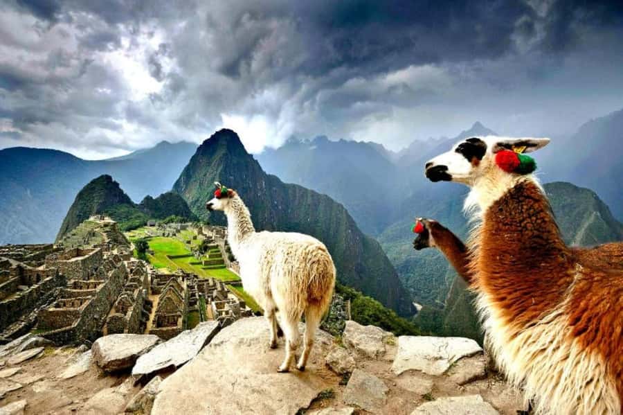 From Cusco:MachuPicchu Excursion 1 day plus Ticket and Train - Key things that make this Machu Picchu day tick