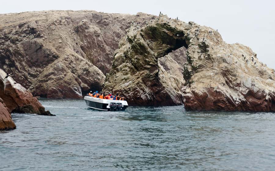 From Huacachina: Ballestas and Paracas Reserve - GROUP TOUR - Key things to know before you go