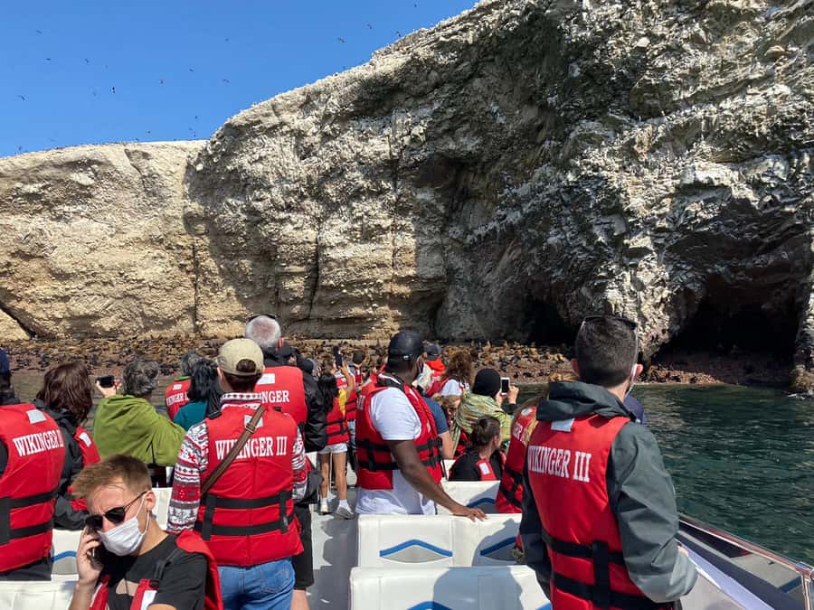 From Huacachina: Ballestas and Paracas Reserve - GROUP TOUR - Paracas National Reserve by road: Itsmo and Playa Roja