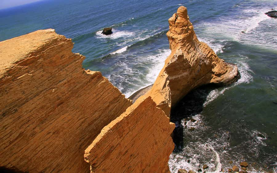 From Huacachina: Ballestas and Paracas Reserve - GROUP TOUR - Ballestas Islands speedboat: sea lions, penguins, and staying on board