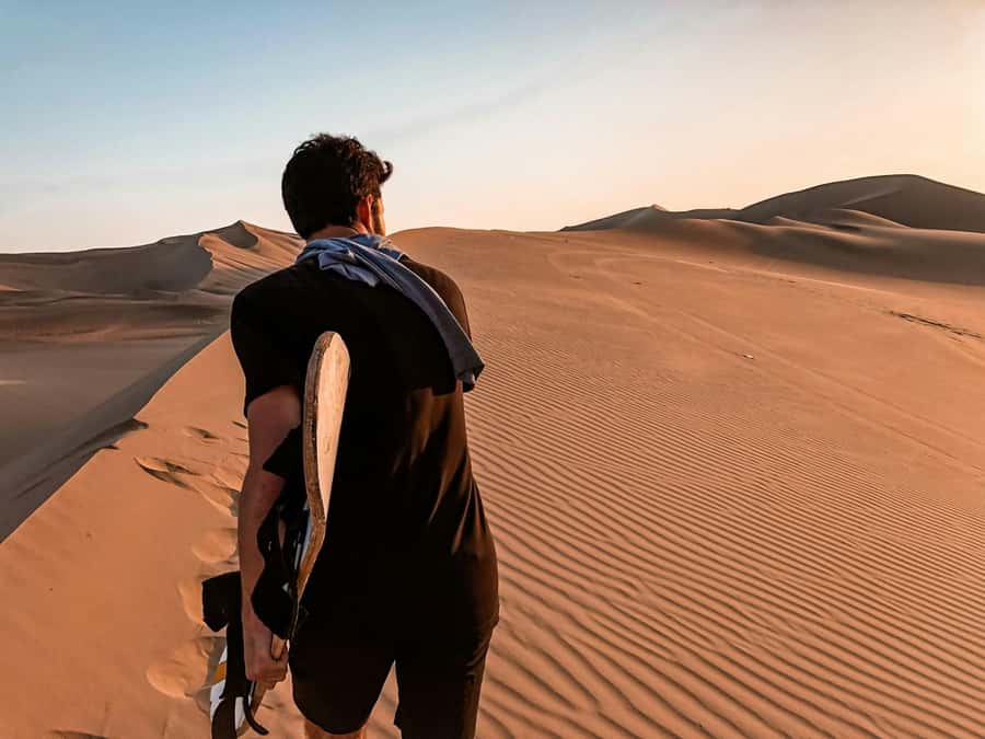 From Lima: 2 Days to Paracas & Huacachina | 2 Days/1 Night - Ballestas Islands from Chaco: Penguins, Sea Lions, and the Famous Dune Hieroglyph
