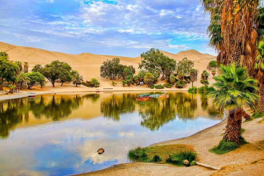From Lima: 2 Days to Paracas & Huacachina | 2 Days/1 Night - Weather and Order Changes: The Practical Side of Booking Paracas by Boat