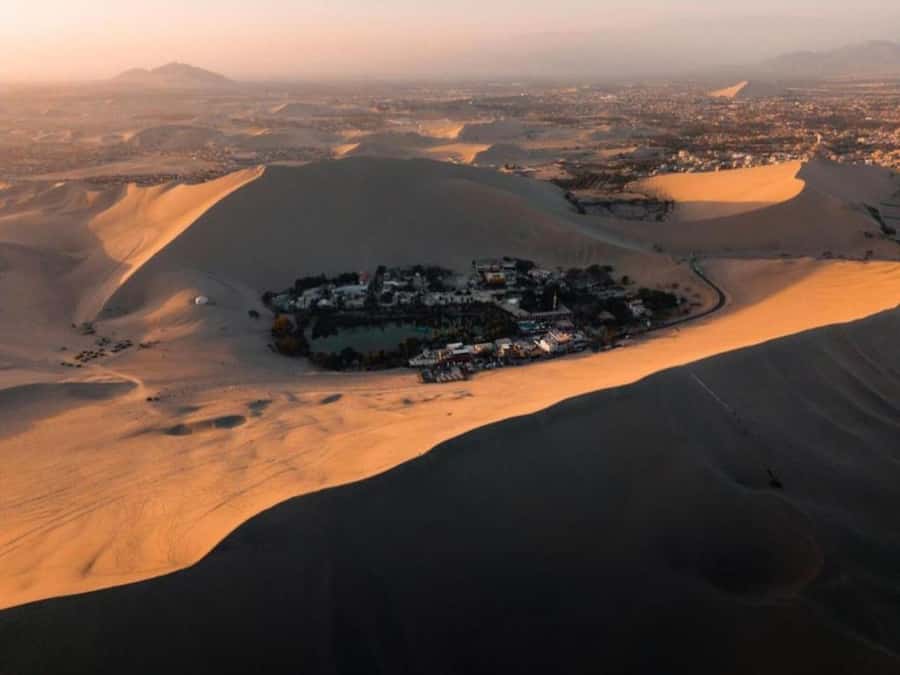 From Lima: Ballestas Islands and Huacachina Sunset Day Trip - Quick hits before you go