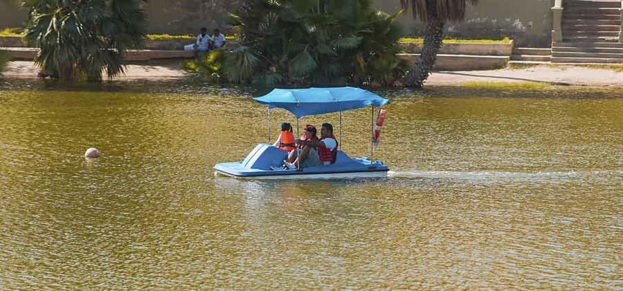 From Lima: Ballestas Islands and Huacachina Sunset Day Trip - Sunset in Huacachina: why the timing matters