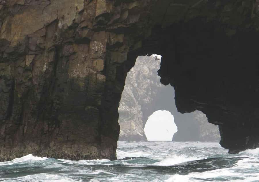 From Lima: Ballestas Islands and Huacachina Sunset Day Trip - Price and value: what $65 gets you (and what costs extra)