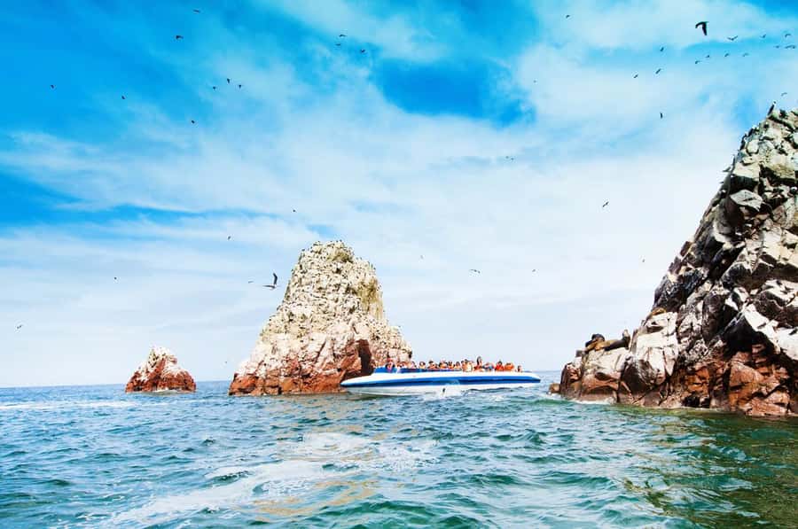 From Lima: Ballestas Islands, Huacachina, and Vineyard Tour - The Pisco vineyard stop: learning the process and tasting what Peruvian pisco tastes like