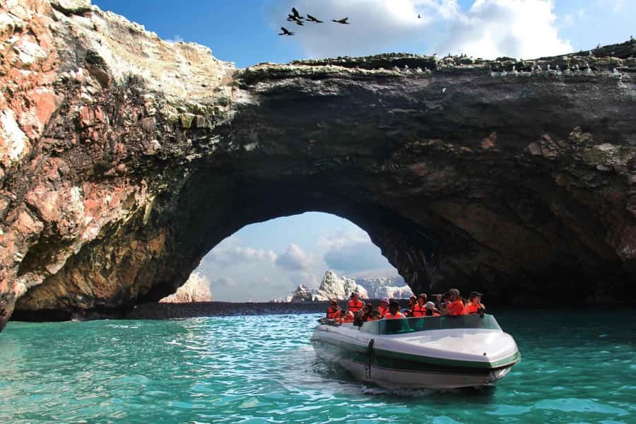 From Lima: Ballestas Islands, Huacachina and Wine Route Trip - Wildlife-Spotting Reality Check (and How to Make It Better)