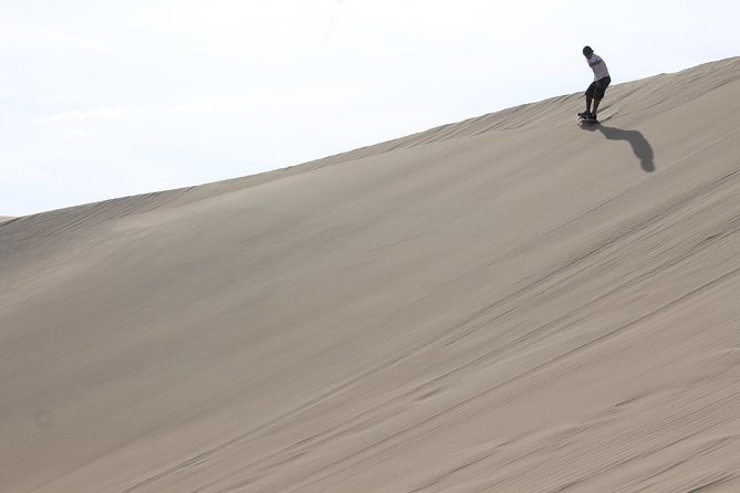 From Lima: Ballestas, Nazca Lines & Huacachina Oasis - The big catch: a rushed day, tight meals, and long van time