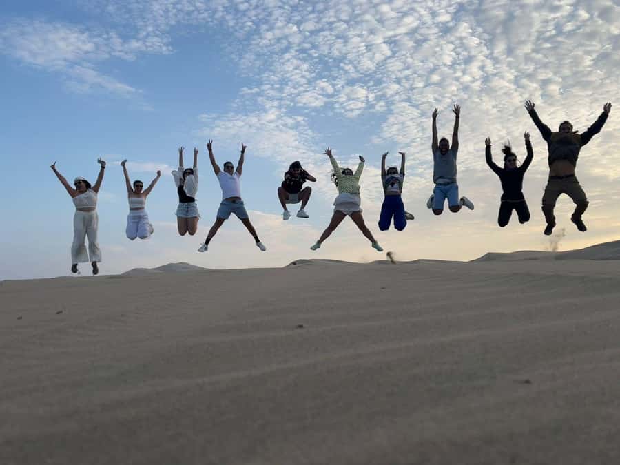 From Lima: Day trip to Paracas, Ica and Oasis Huacachina - Quick Take: The Best Parts
