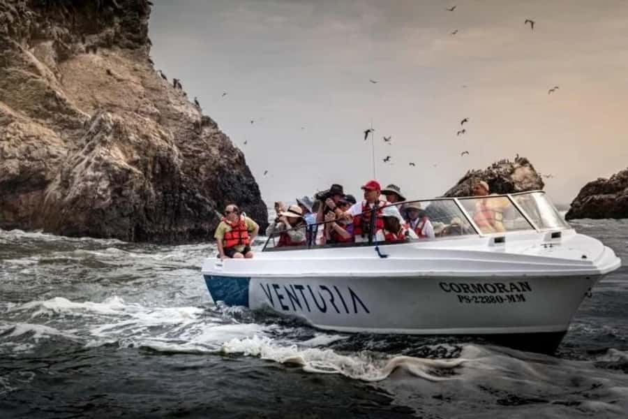 From Lima: Day trip to Paracas, Ica and Oasis Huacachina - Timing and Energy: How to Pack Your Day