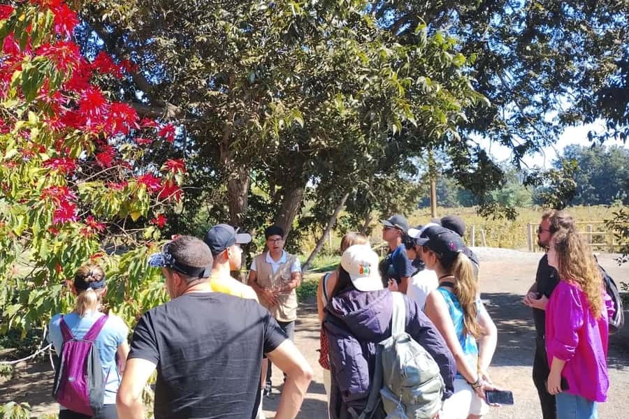 From Lima: Day trip to Paracas, Ica and Oasis Huacachina - Guide Quality Matters: Bilingual Support You Can Feel