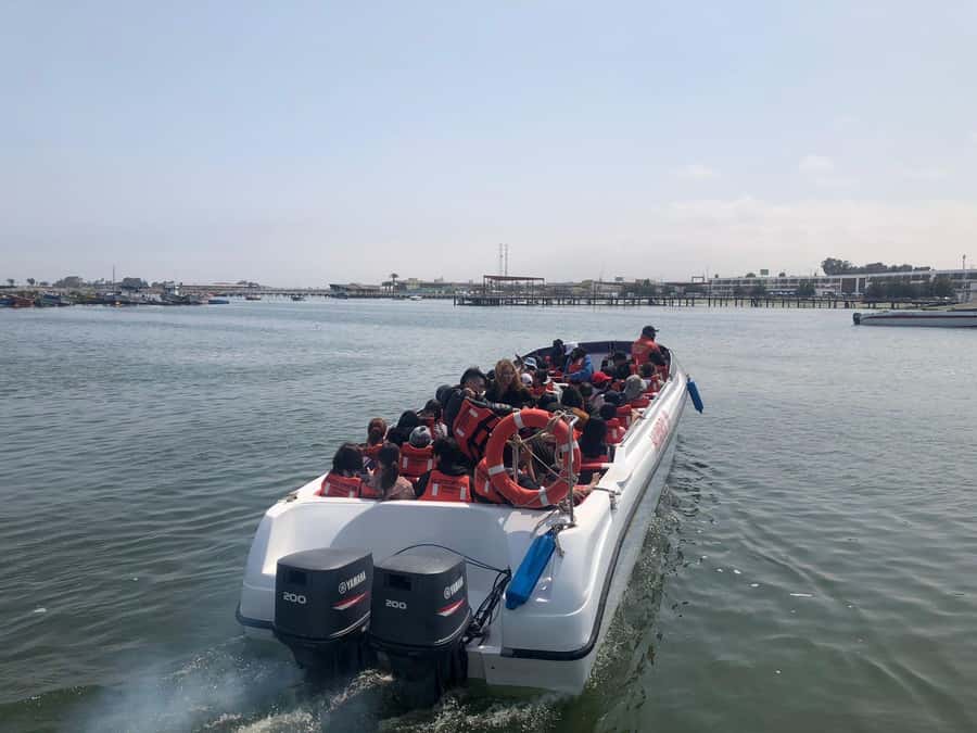 From Lima: Day Trip to Paracas, Ica & Oasis Huacachina - A very long day: Lima to Paracas, Ica, and Huacachina in one shot