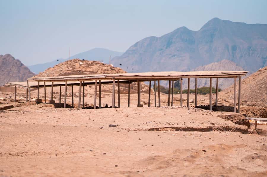From Lima: Discover the Ancient Sites Caral & Bandurria - The Pacific Viewpoint and Albufera Paraíso: When the Ruins Pause
