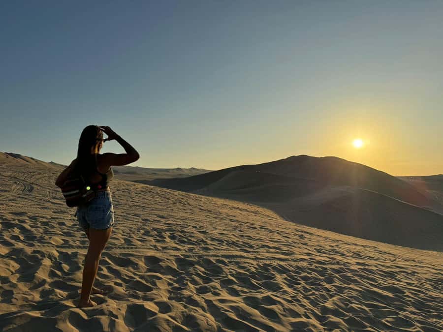 From Lima: Full Day Private All Inclusive Paracas, Ica. - From Lima to Paracas: private door-to-door start that saves time