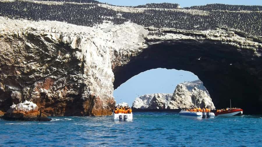From Lima: Huacachina Oasis & Ballestas Island - ENGL / ESPA - How the Boat Time Feels: Caves, Cliffs, and Wildlife Timing