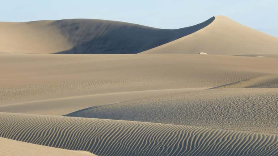 From Lima: Huacachina Oasis & Ballestas Island - ENGL / ESPA - Sandboarding: A Real Attempt at Balance (and Optional Board Rentals)