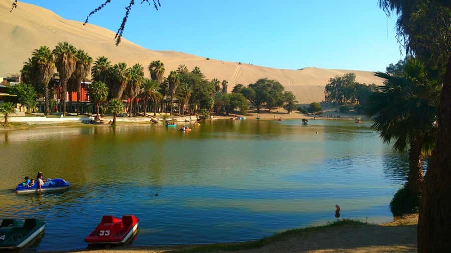 From Lima: Huacachina Oasis Tour, Winery & Desert Sunset - Key highlights worth your attention
