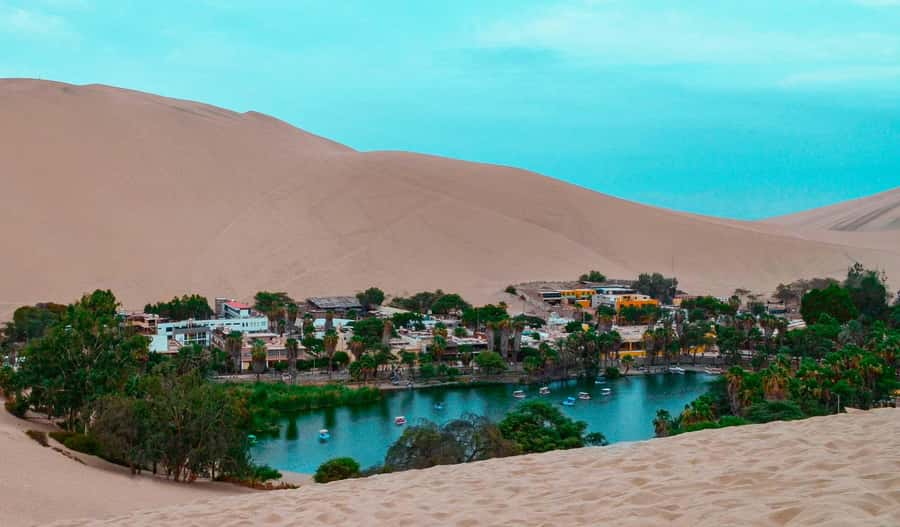 From Lima: Paracas and Huacachina Day Trip with Buggy Ride - Who This Tour Fits Best (And Who Should Rethink It)