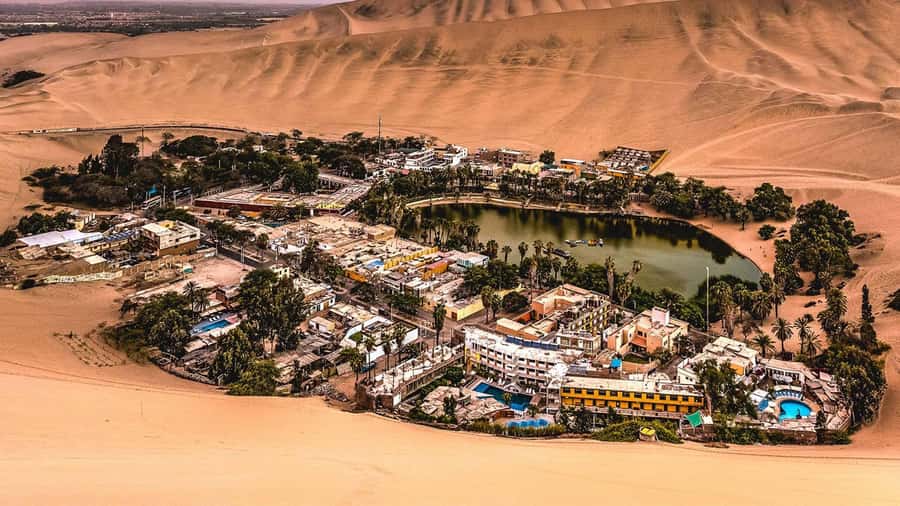 From Lima: Paracas and Huacachina Day Trip with Buggy Ride - The Lunch Stop Plus Pisco Tasting: Culture, Flavor, and a Bit of Show