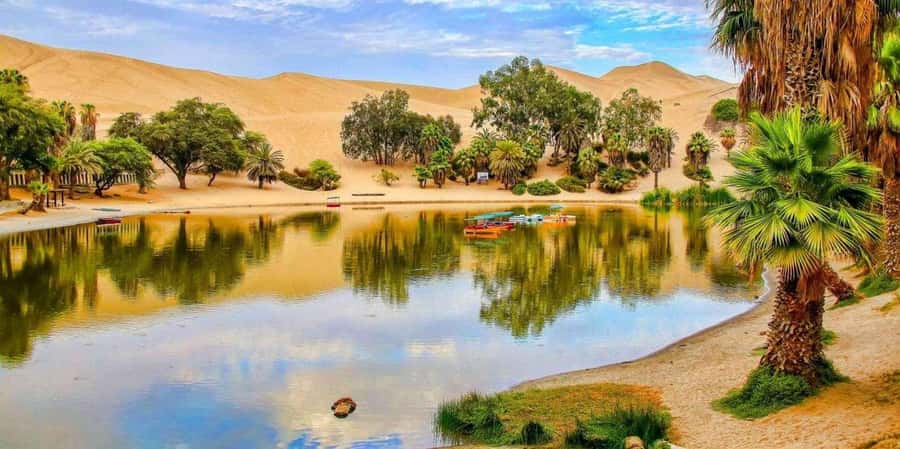 From Lima: Paracas and Huacachina Guided Desert Oasis Trip - Pisco tasting in Ica: what you’ll actually do