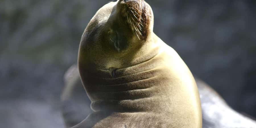 From Lima: Paracas and Huacachina Guided Desert Oasis Trip - Back to Lima: a late arrival that shapes your whole day