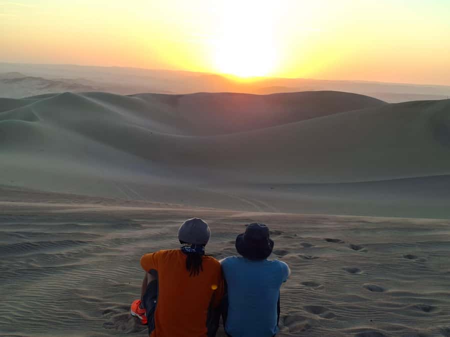 From Lima: Paracas and Huacachina Oasis Full Day Guided Tour - Ballestas Islands by Boat: Where You Can Really See the Wildlife