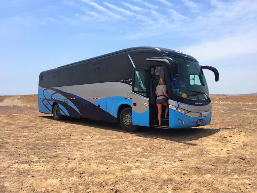 From Lima: Paracas and Huacachina Oasis Full Day Guided Tour - Should You Book: My Verdict on Lima to Paracas and Huacachina