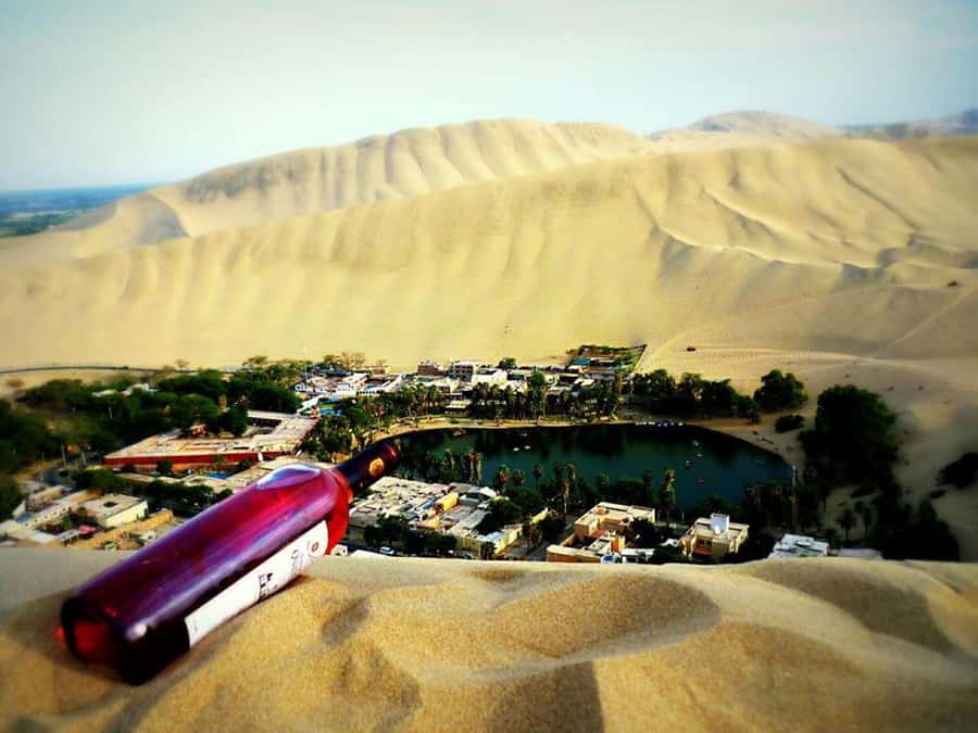 From Lima:Paracas Ballestas Islands and Ica Oasis 1 day Tour - Boat Ride to Ballestas: Marine Reserve on a Clock