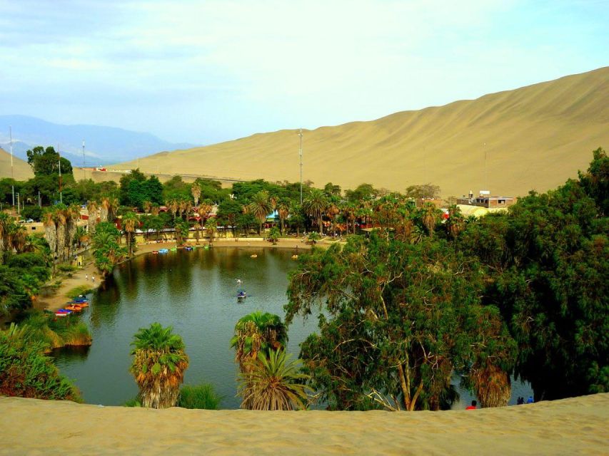 From Lima:Paracas Ballestas Islands and Ica Oasis 1 day Tour - Wine Region Visit: Learn, Taste, and Know What You’re Buying