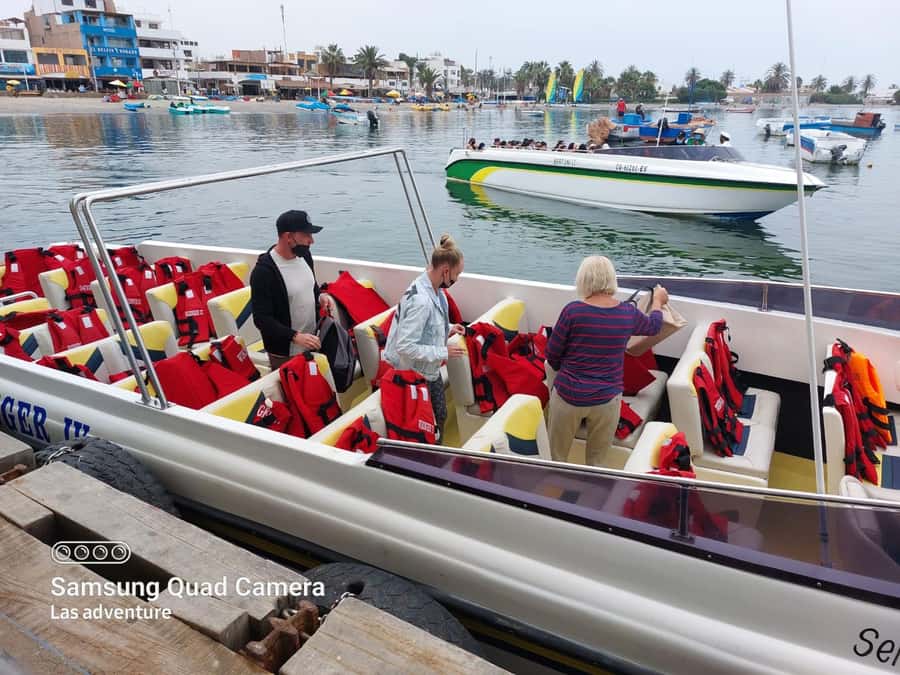 From Paracas: Ballestas Island Cruise & Paracas Reserve Tour - Fast Speedboat to Ballestas: how the day starts