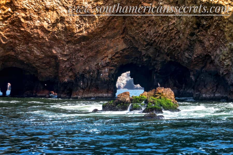 From Paracas: Ballestas Islands tour all Inclusive - Key highlights worth your attention